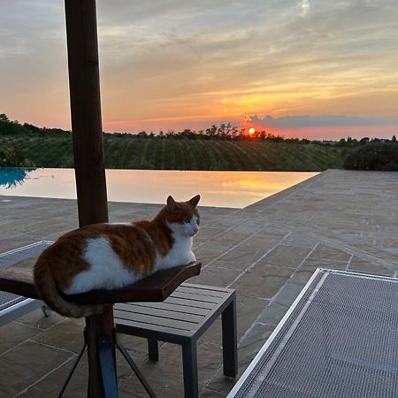 Agriturismo La Rinaldina Faenza Bagian luar foto
