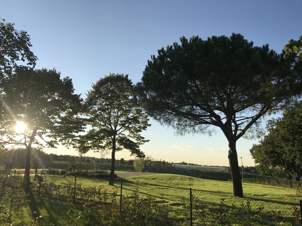 Agriturismo La Rinaldina Faenza Bagian luar foto