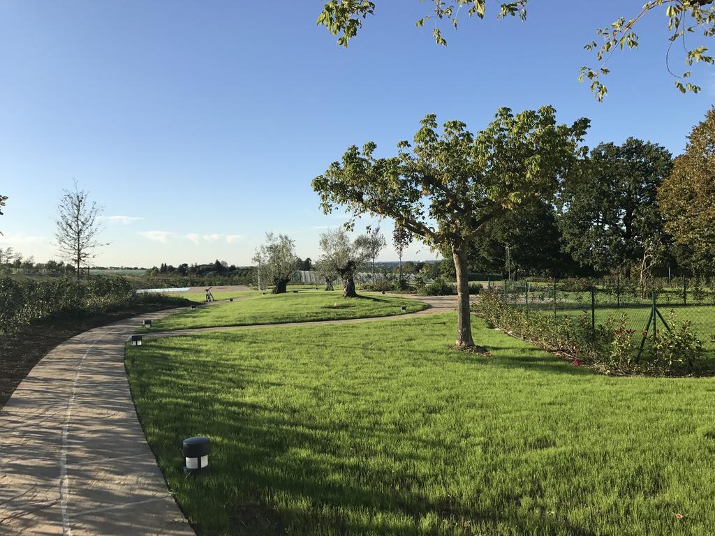 Agriturismo La Rinaldina Faenza Bagian luar foto