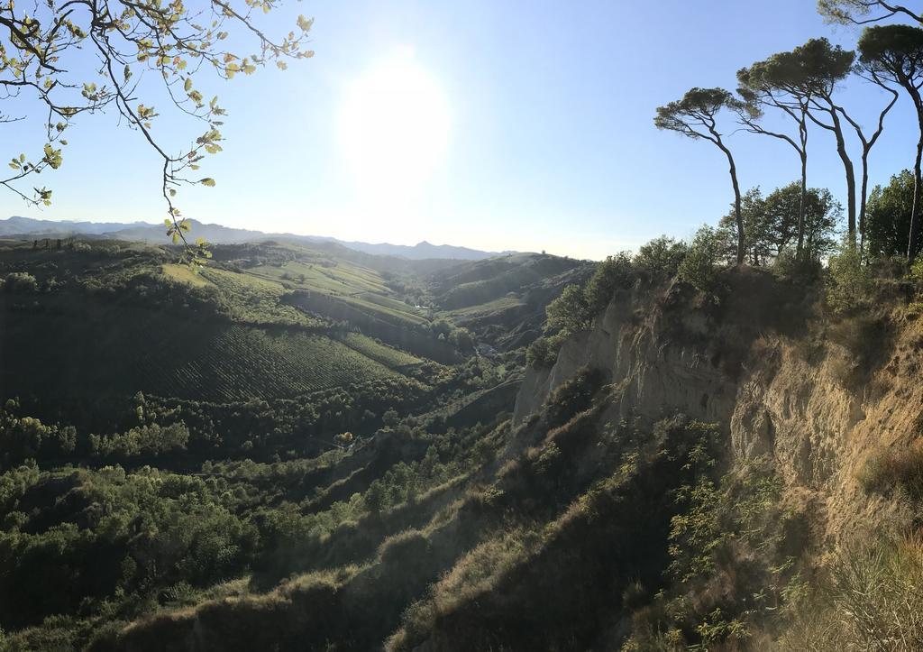 Agriturismo La Rinaldina Faenza Bagian luar foto