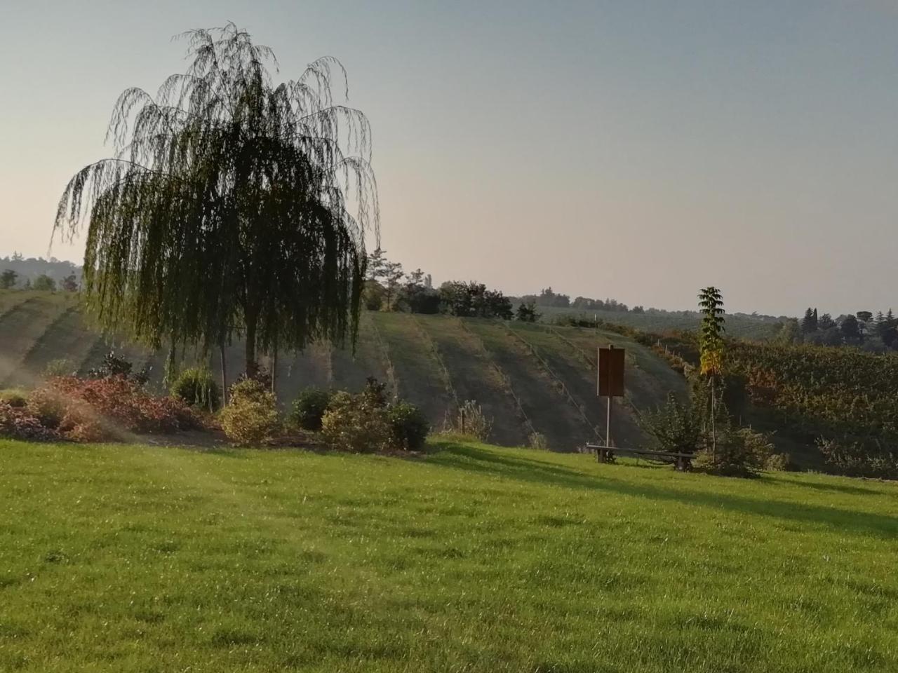 Agriturismo La Rinaldina Faenza Bagian luar foto