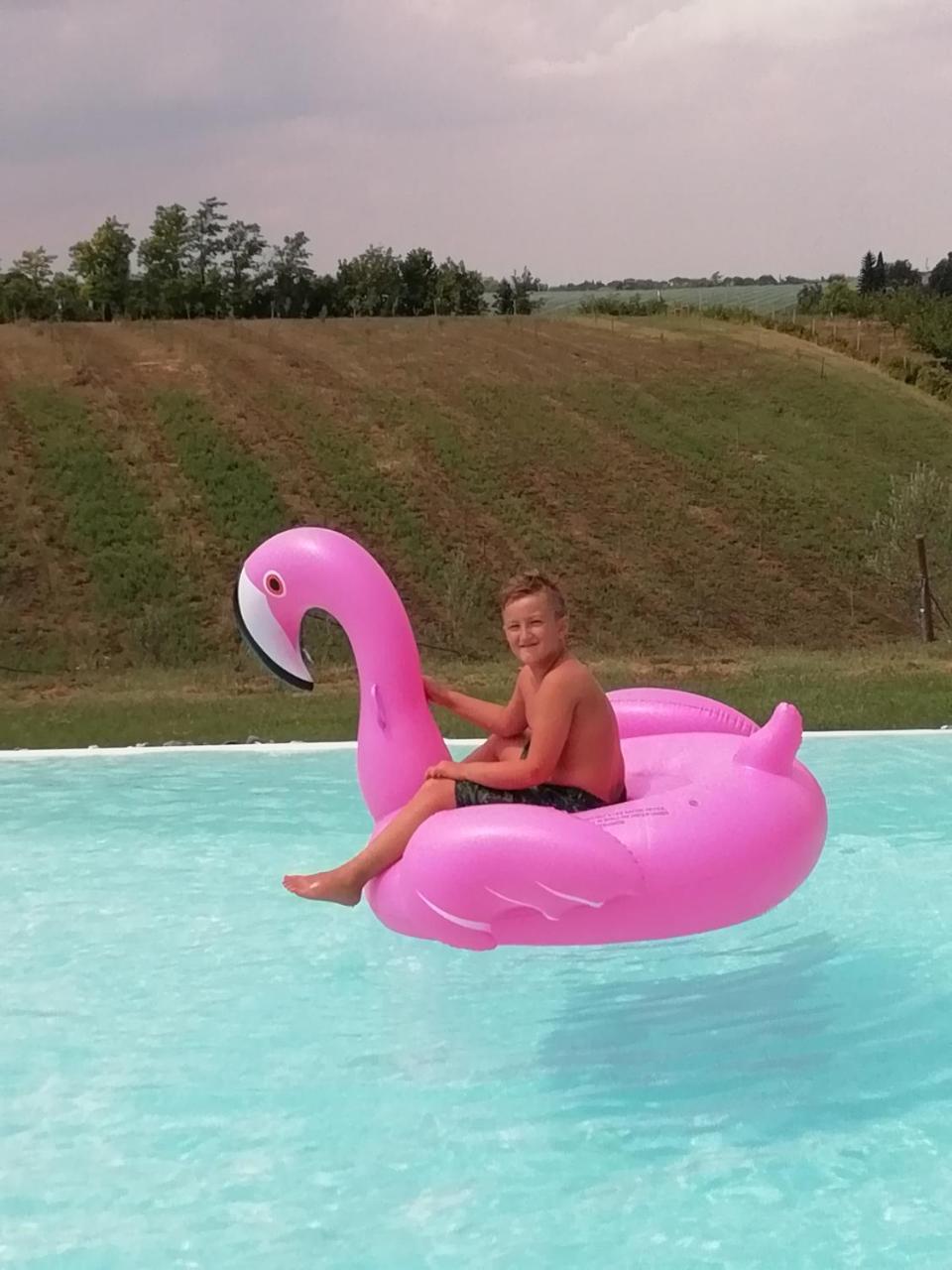 Agriturismo La Rinaldina Faenza Bagian luar foto